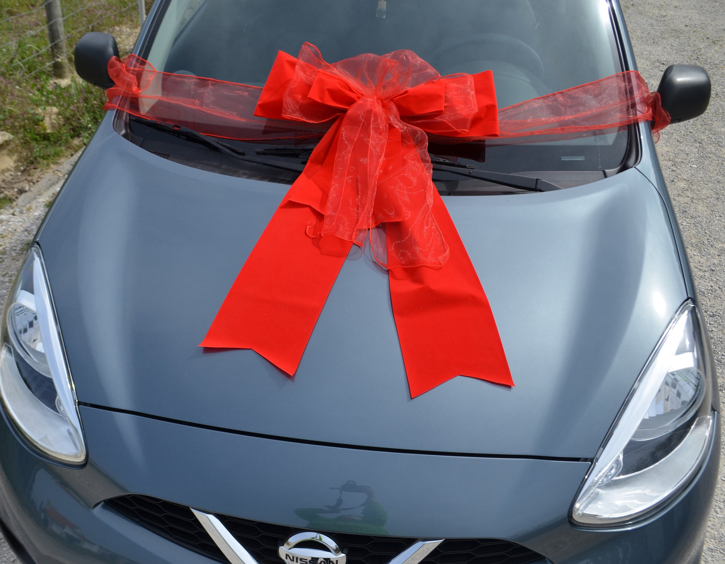 Velvet and Organza Bow