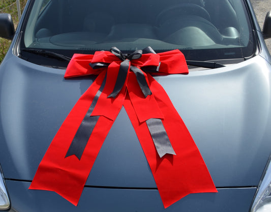 Velvet and Satin Bow