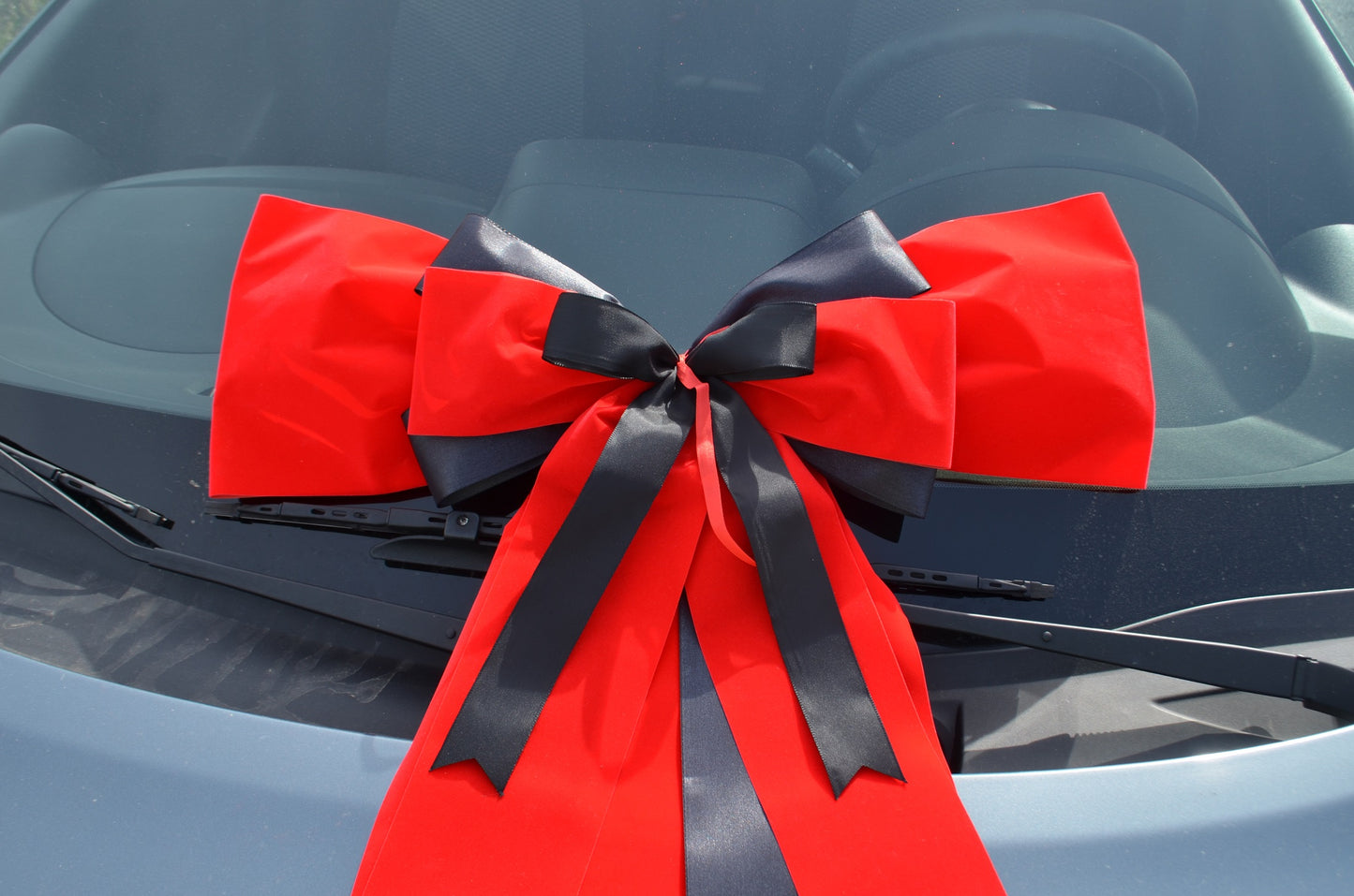 Velvet and Satin Bow