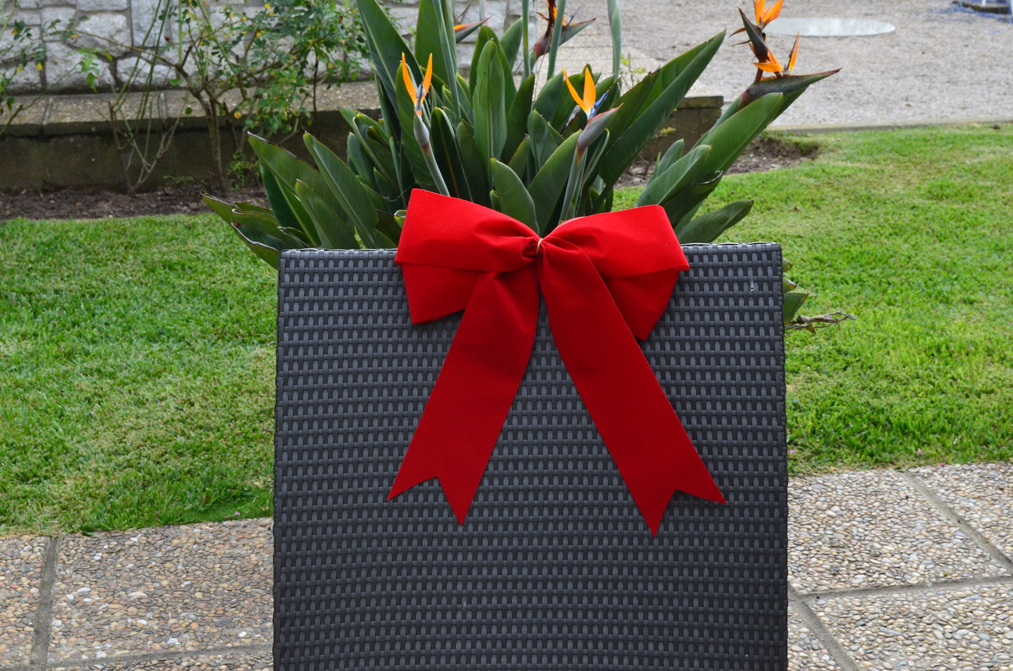 Big Red Decorative Bow