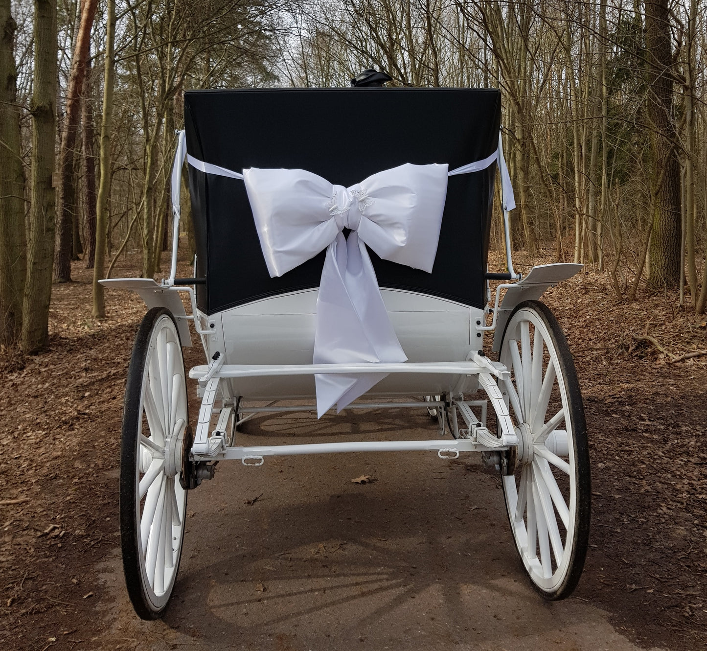 Big Satin Bow - Perfect look for Weddings