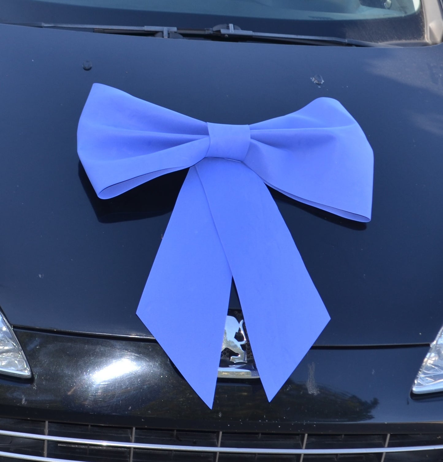 Ewa Ribbon Bow - Available in 9 Colors
