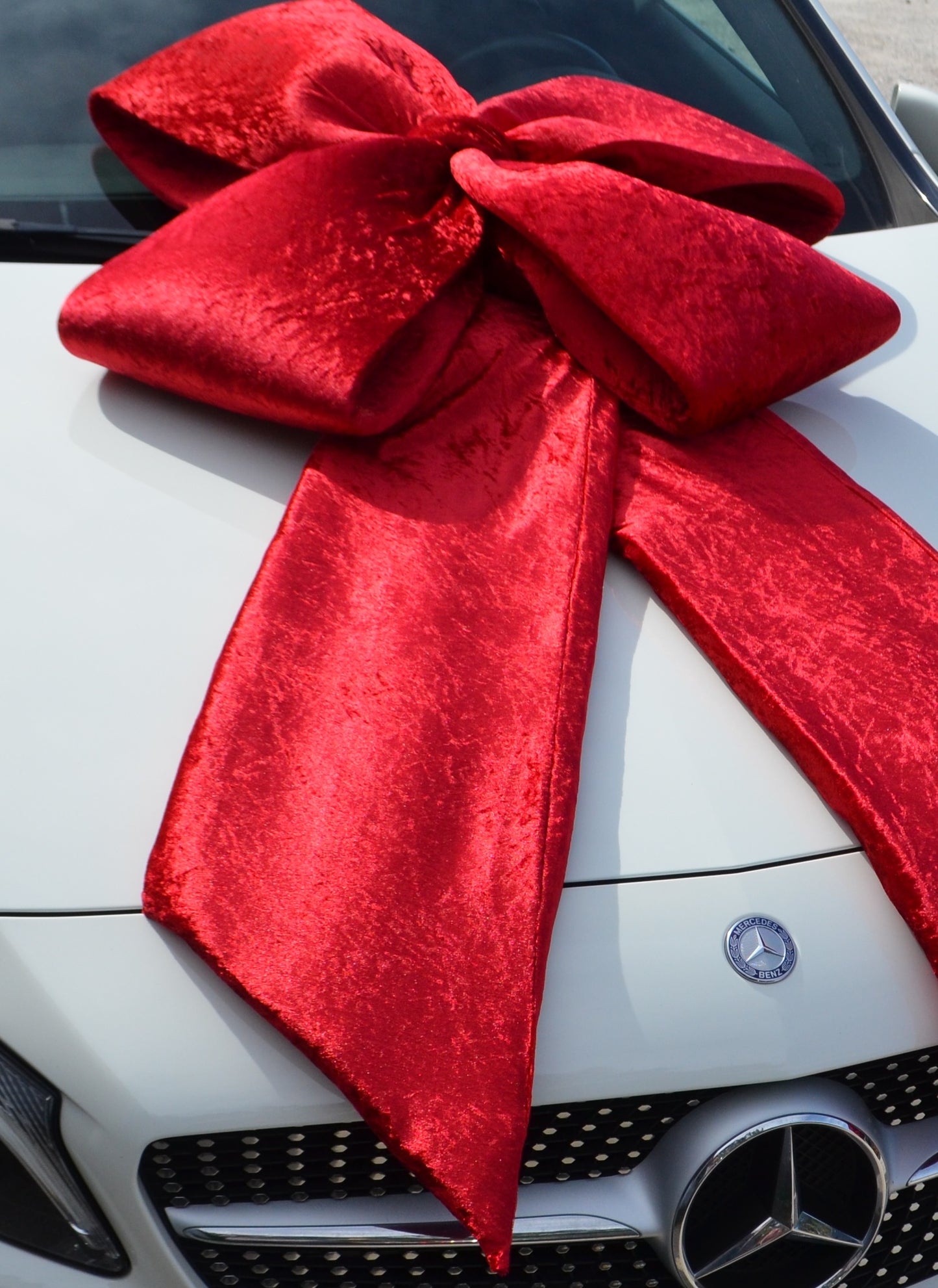 Giant Luxurious Velvet Bow