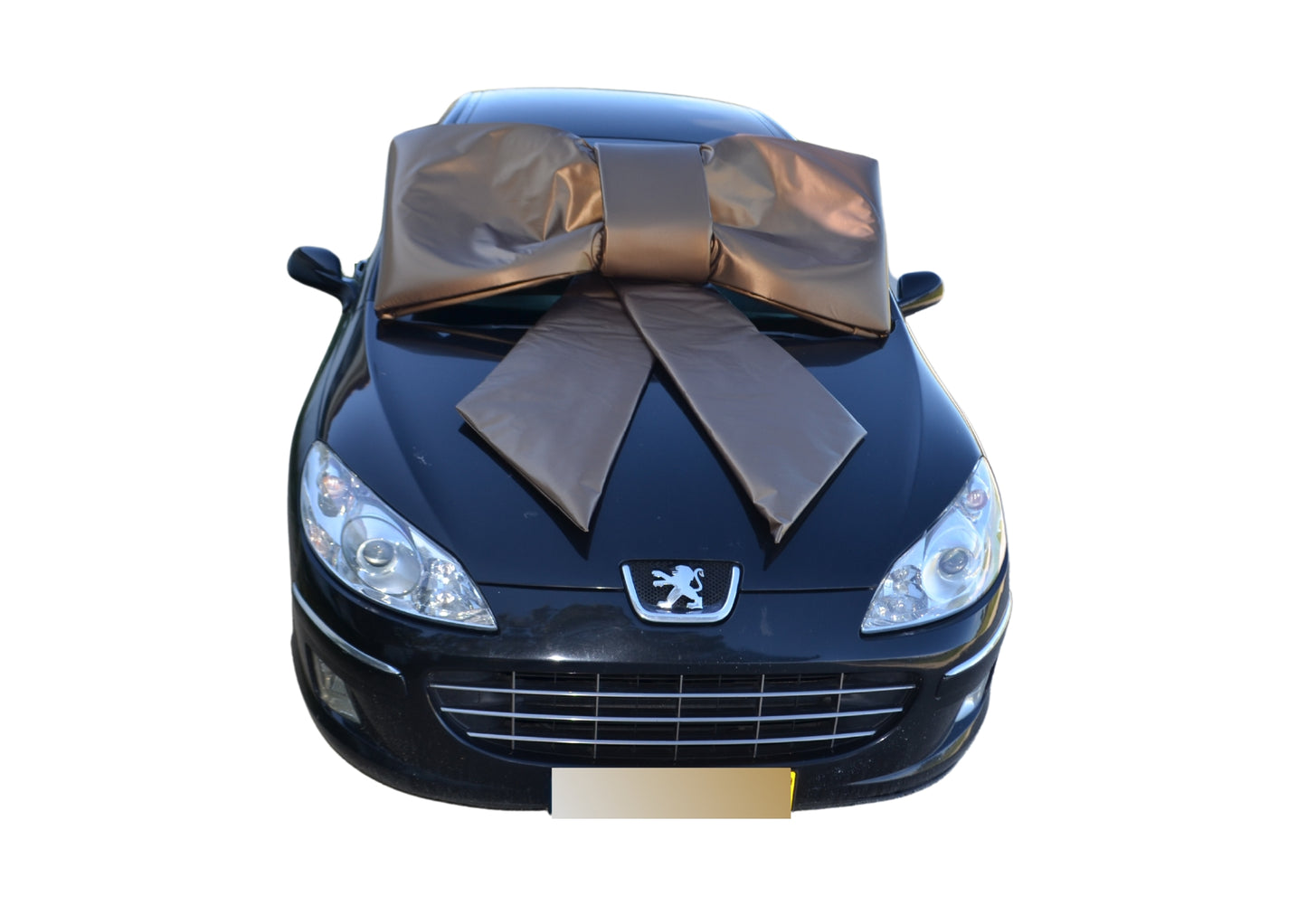 Giant Briltex Bow -  designed for outdoor use